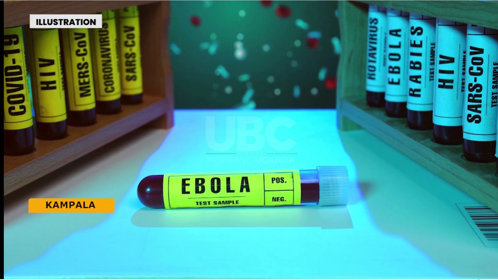 WHO reports 906 suspected Ebola cases, 223 deaths amid Bundibugyo outbreak; Uganda confirms no community transmission